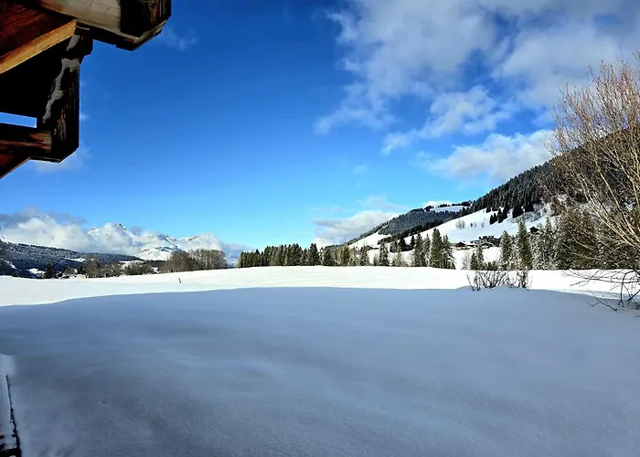 Du Lay Cote 2000 In Out Horská chata