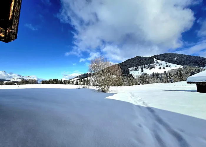 Du Lay Cote 2000 In Out Horská chata Megève