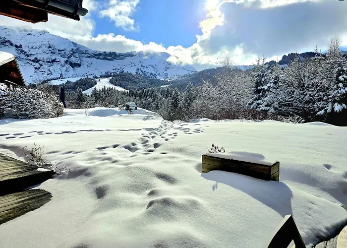 Du Lay Cote 2000 In Out Horská chata Megève